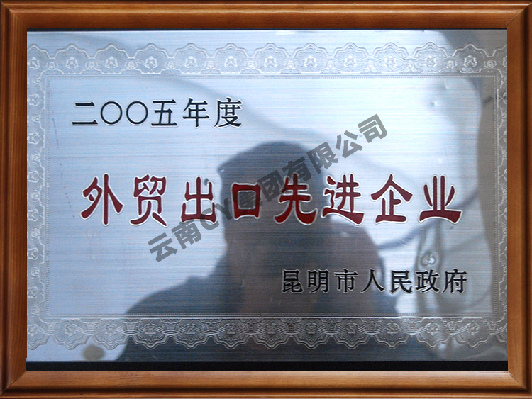 外贸出口先进企业